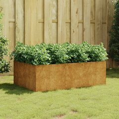 vidaXL taimekast, 120 x 80 x 40 cm, Corten-teras цена и информация | Ящики для цветов | kaup24.ee