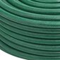 vidaXL aiavoolik, roheline, 1,3" 10 m PVC цена и информация | Kastekannud, voolikud, niisutus | kaup24.ee