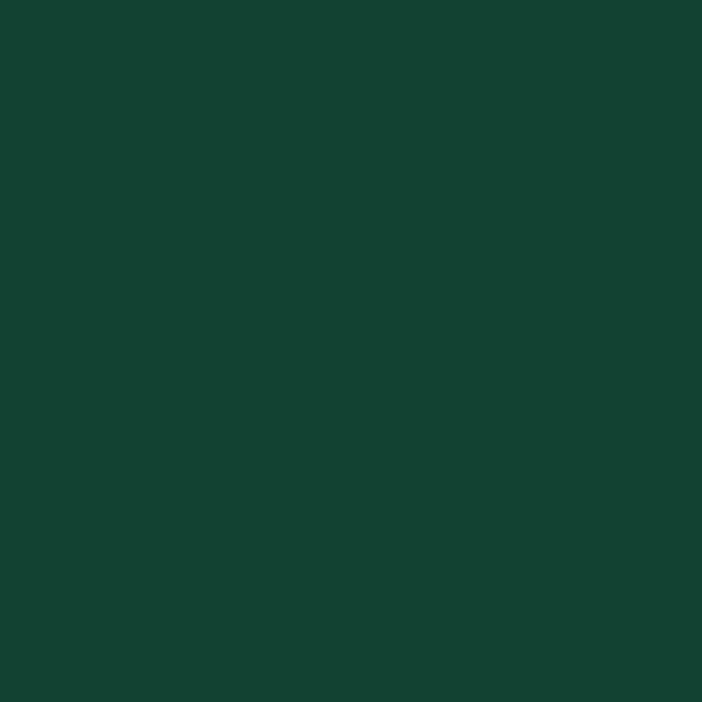 vidaXL aiakuur, roheline, 277 x 93 x 179 cm, tsingitud teras цена и информация | Kuurid ja aiamajad | kaup24.ee