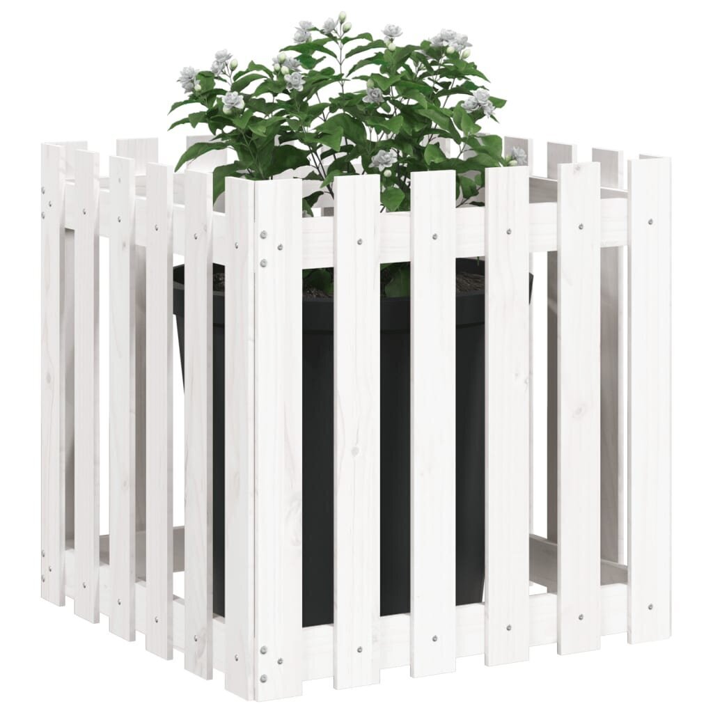 vidaXL aia kujundusega taimekast, valge, 60 x 60 x 60 cm, männipuit hind ja info | Lillekastid | kaup24.ee
