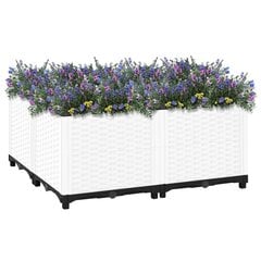 vidaXL taimekast 80 x 80 x 38 cm, polüpropüleen hind ja info | Lillekastid | kaup24.ee