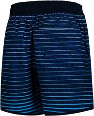 Быстросохнущие мужские плавки-шорты Aquaspeed Nolan цена и информация | Плавки, плавательные шорты | kaup24.ee