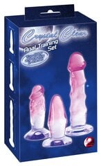 3pc dildo set цена и информация | Анальные игрушки | kaup24.ee