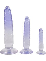 3pc dildo set цена и информация | Анальные игрушки | kaup24.ee