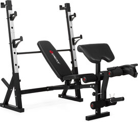 Скамья для упражнений Gymstick WB8.0 цена и информация | Тренировочные скамьи | kaup24.ee