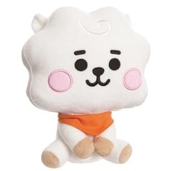 Мягкая игрушка Line Friends Rj Baby, 20см цена и информация | Мягкие игрушки | kaup24.ee