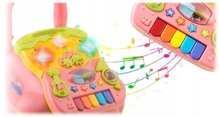 Детские ходунки с музыкой 2 в 1, розовые цена и информация | Игрушки для малышей | kaup24.ee