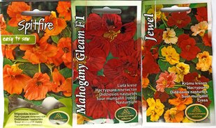 Suur mungalill цена и информация | Семена цветов | kaup24.ee