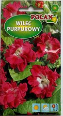 Ипомея пурпурная, красный цена и информация | Семена цветов | kaup24.ee