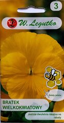 Suureõieline pansikas Goldgelb цена и информация | Семена цветов | kaup24.ee