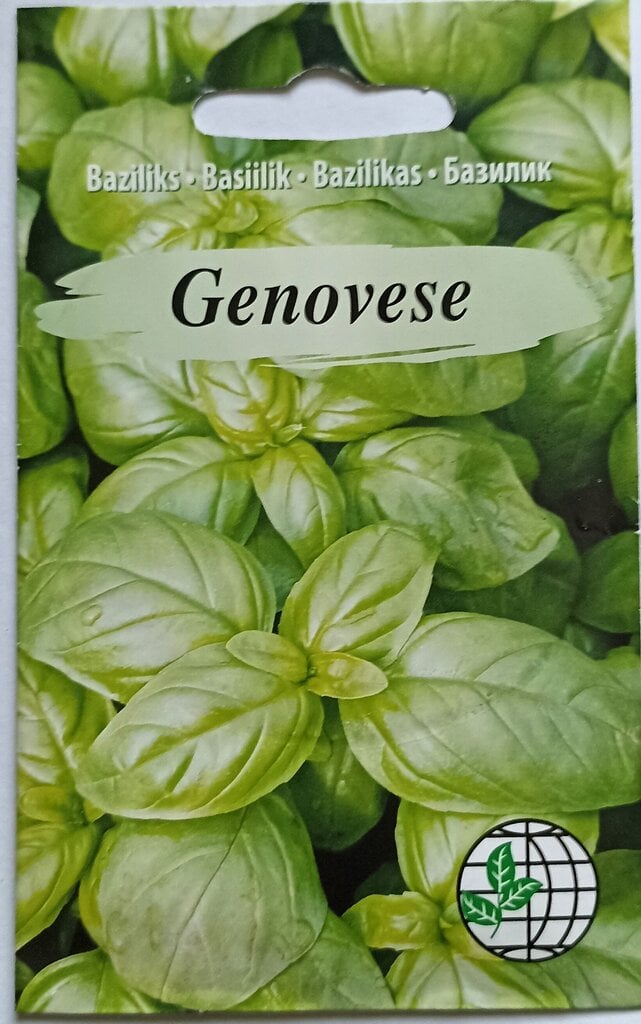 Basiilik Genovese hind ja info | Maitsetaimede seemned | kaup24.ee