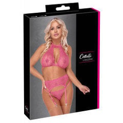 Bra Suspender Set S/M цена и информация | Сексуальное женское белье | kaup24.ee