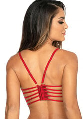 Axami Sexy Sensual Paradise красный бралетт цена и информация | Сексуальное женское белье | kaup24.ee