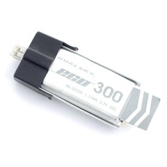 Dualsky Li-Pol 300mAh 30C 1S 3.7V цена и информация | Аккумуляторы | kaup24.ee