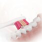 Sencor SOC 4201GD hind ja info | Elektrilised hambaharjad | kaup24.ee