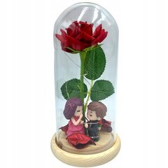 Вечная роза в стеклянном куполе цена и информация | Другие оригинальные подарки | kaup24.ee