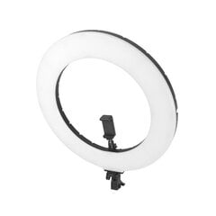 Formax LED60, 1 шт. цена и информация | Осветительное оборудование для фотосъемок | kaup24.ee