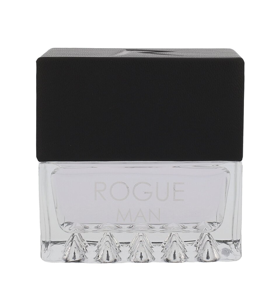 Tualettvesi Rihanna Rogue Man EDT meestele, 30 ml hind ja info | Meeste parfüümid | kaup24.ee