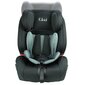 Kikid turvatool, ISOFIX, 9-36 kg цена и информация | Turvatoolid | kaup24.ee