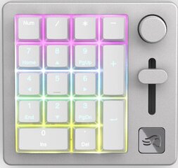 Игровая клавиатура Glorious PC Gaming Race GMMK Compact Keyboard - US layout - Gateron Brown Switches цена и информация | Клавиатуры | kaup24.ee