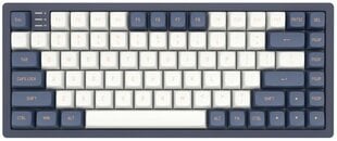 Клавиатура Dark Project K083A Blue-White, G3MS Sapphire, US цена и информация | Клавиатуры | kaup24.ee