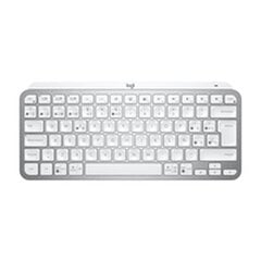 Logitech 920-010491 цена и информация | Клавиатура с игровой мышью 3GO COMBODRILEW2 USB ES | kaup24.ee