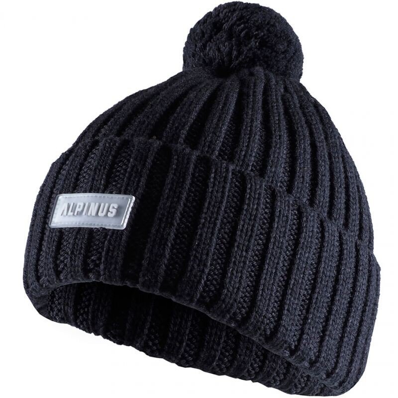 Müts Alpinus Matind Hat Gray A8-G, hall hind ja info | Meeste sallid, mütsid ja kindad | kaup24.ee