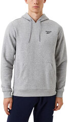 Reebok джемпер Ri Left Grey 100068237, серый цена и информация | Мужские толстовки | kaup24.ee