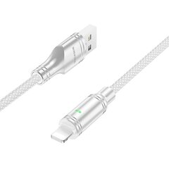 Borofone Cable BU40 Advantage - USB to Lightning - 2,4A 1,2 metres grey цена и информация | Кабели для телефонов | kaup24.ee