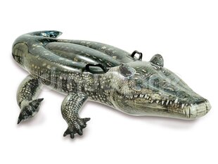 Täispuhutav alligaator Intex, 170 x 86 cm hind ja info | Täispuhutavad veemänguasjad ja ujumistarbed | kaup24.ee