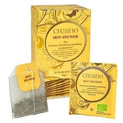 Чай Согревающий имбирь, 40 г цена и информация | Чай | kaup24.ee