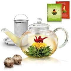Набор цветущего чая с чайником Белый и зеленый чай, 2 шт. цена и информация | Чай | kaup24.ee