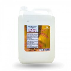 Šampoon-kontsentraat Fauvert mangoga, 5000 ml цена и информация | Шампуни | kaup24.ee
