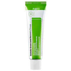 Крем для лица Purito Centella Green Level Recovery Cream, восстанавливающий крем для лица с центеллой, 50 мл цена и информация | Кремы для лица | kaup24.ee