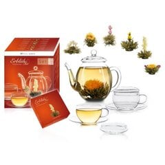 Набор цветущих чаев с заварочным чайником и чашками Белый чай, 6 шт. цена и информация | Чай | kaup24.ee