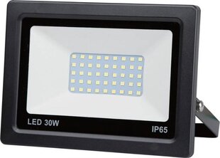 LED prožektor 30W цена и информация | Фонарики, прожекторы | kaup24.ee