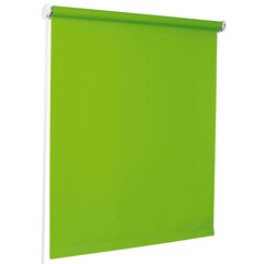 Ruloo Bojanek Maxi seina/lae roheline 190x170cm цена и информация | Рулонные шторы | kaup24.ee
