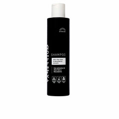 Päikesejärgne Niisutav Šampoon Vanessium Aloe vera Makadaamia pähkel (200 ml) hind ja info | Šampoonid | kaup24.ee