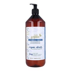 Kõõmavastane šampoon Pure Green Kõõmavastane šampoon Pure Green, 1000 ml hind ja info | Šampoonid | kaup24.ee