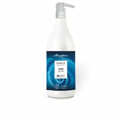 Lokke esile toov šampoon Alcantara Curly Hair System (1 L) hind ja info | Šampoonid | kaup24.ee