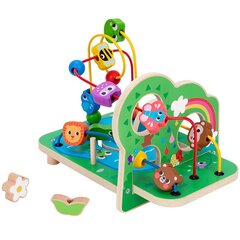 Puidust silmuslabürint Tooky Toy hind ja info | Imikute mänguasjad | kaup24.ee