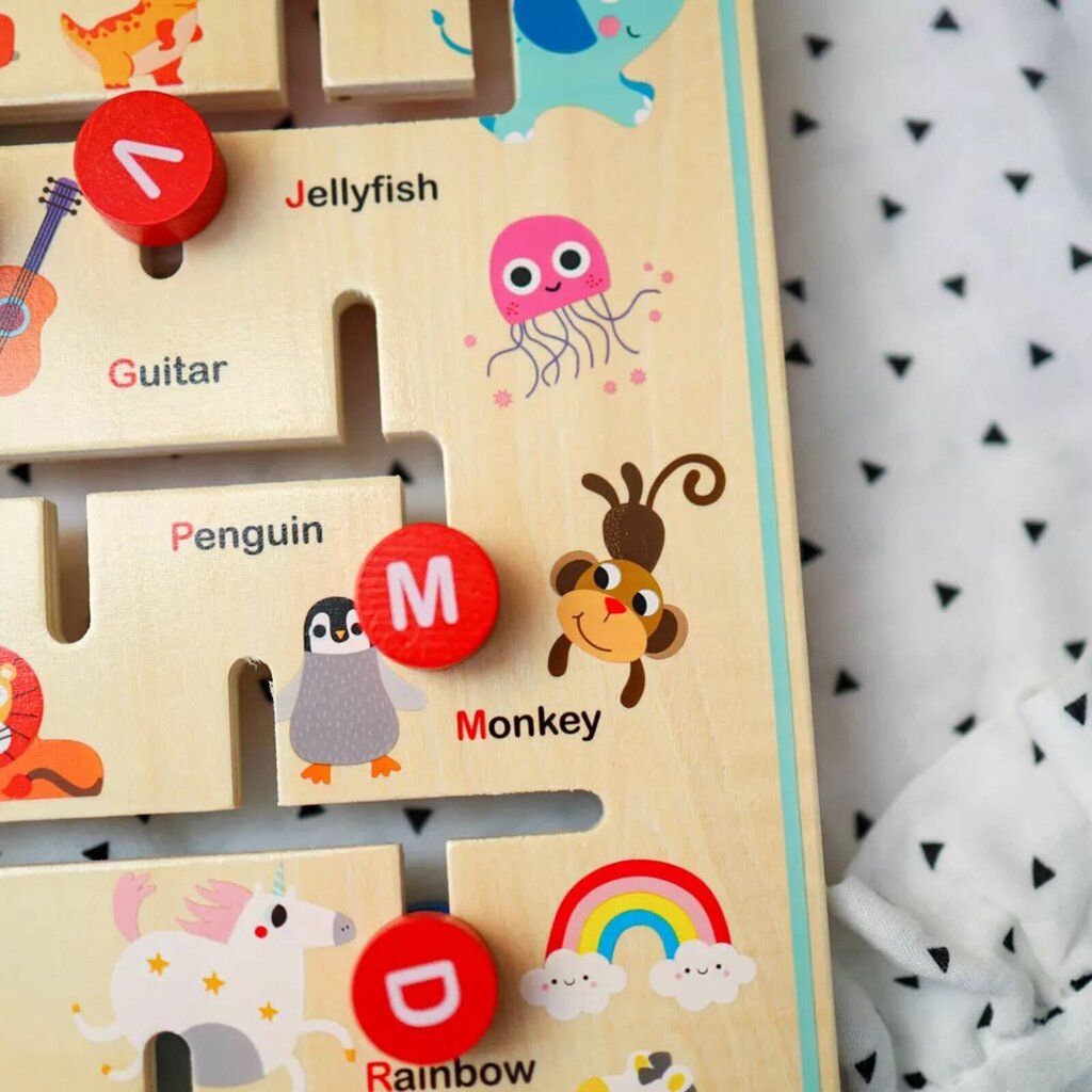 Interaktiivne tahvel Montessori Tooky toys hind ja info | Lauamängud ja mõistatused | kaup24.ee