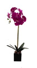 Искусственная орхидея Флорин, 55см цена и информация | Искусственные цветы | kaup24.ee