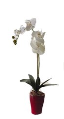 Kunstlik orhidee Muinasjutt, 55cm hind ja info | Kunstlilled | kaup24.ee