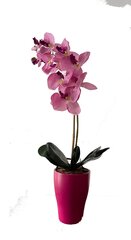 Искусственная орхидея Астралия, 55 см цена и информация | Искусственные цветы | kaup24.ee