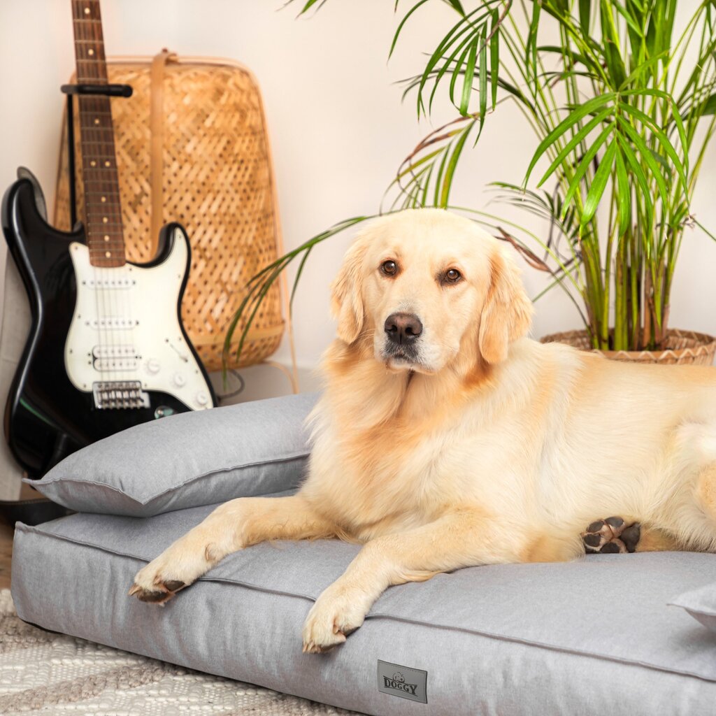 Veekindel pesa koertele Doggy Champion, erinevad suurused, helehall hind ja info | Pesad, padjad | kaup24.ee