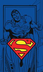 Детское полотенце Superman  30x50cm цена и информация | Полотенца | kaup24.ee
