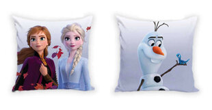 Padjakate Disney Frozen, 40x40 cm hind ja info | Originaalsed padjad, padjakatted | kaup24.ee