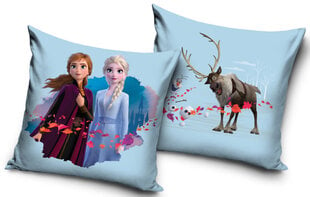 Padjakate Disney Frozen, 40x40 cm hind ja info | Originaalsed padjad, padjakatted | kaup24.ee