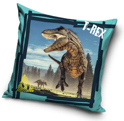 Padjakate Dinosaur, 40x40 cm hind ja info | Originaalsed padjad, padjakatted | kaup24.ee